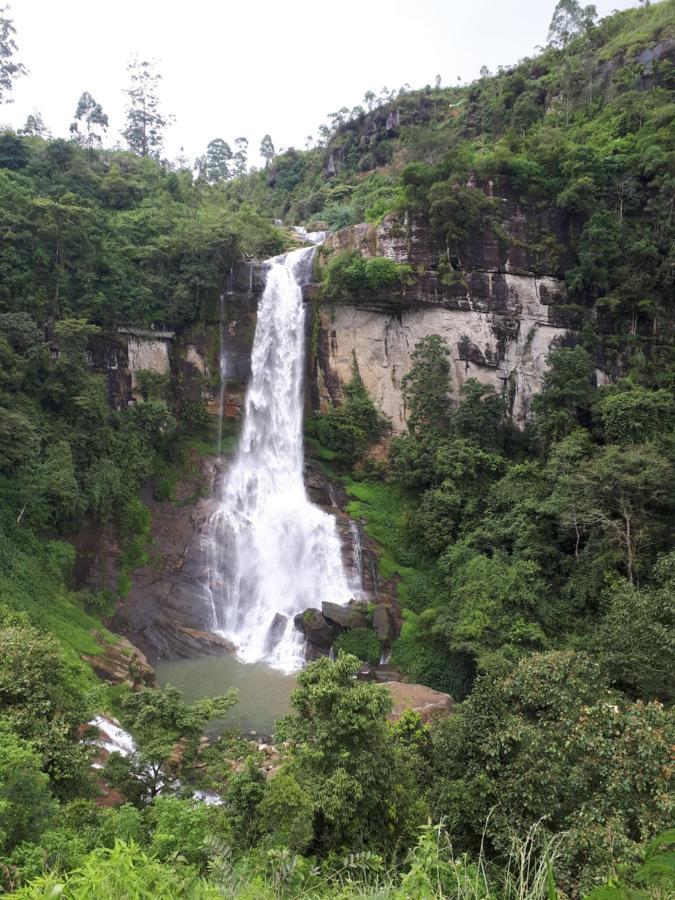 Apartament Woods Hut Nuwara Eliya Zewnętrze zdjęcie